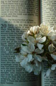 Easter Scriptures in homeschooling day
